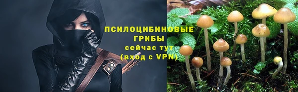 трава Алзамай